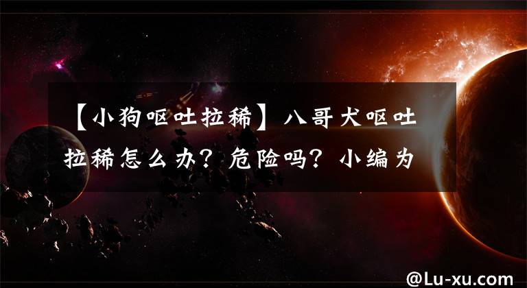 【小狗嘔吐拉稀】八哥犬嘔吐拉稀怎么辦？危險(xiǎn)嗎？小編為你定心神