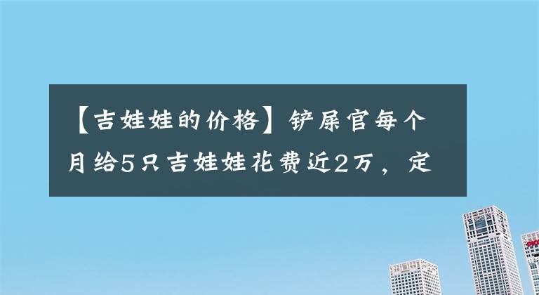 【吉娃娃的價格】鏟屎官每個月給5只吉娃娃花費近2萬，定制衣服，首飾，豪養(yǎng)！