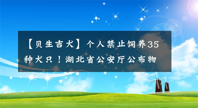 【貝生吉犬】個人禁止飼養(yǎng)35種犬只！湖北省公安廳公布物業(yè)區(qū)域個人禁養(yǎng)犬只標(biāo)準(zhǔn)征求意見稿