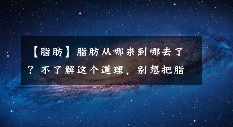 【脂肪】脂肪從哪來到哪去了？不了解這個道理，別想把脂肪“送走”