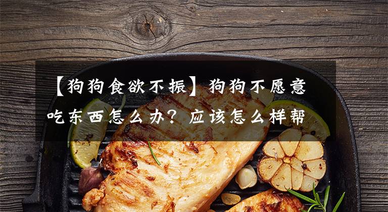 【狗狗食欲不振】狗狗不愿意吃東西怎么辦？應(yīng)該怎么樣幫助狗狗恢復(fù)食欲？