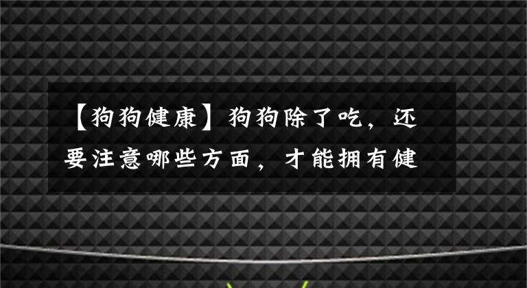 【狗狗健康】狗狗除了吃，還要注意哪些方面，才能擁有健康快樂的狗生？