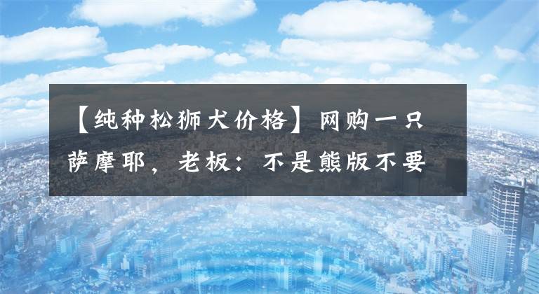 【純種松獅犬價格】網(wǎng)購一只薩摩耶，老板：不是熊版不要錢，回來長這樣網(wǎng)友都愣了！