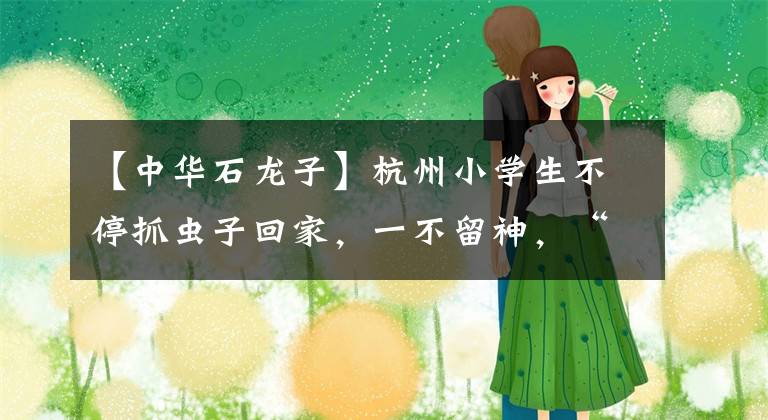 【中華石龍子】杭州小學(xué)生不停抓蟲子回家，一不留神，“千足蟲”爬進(jìn)媽媽被子！