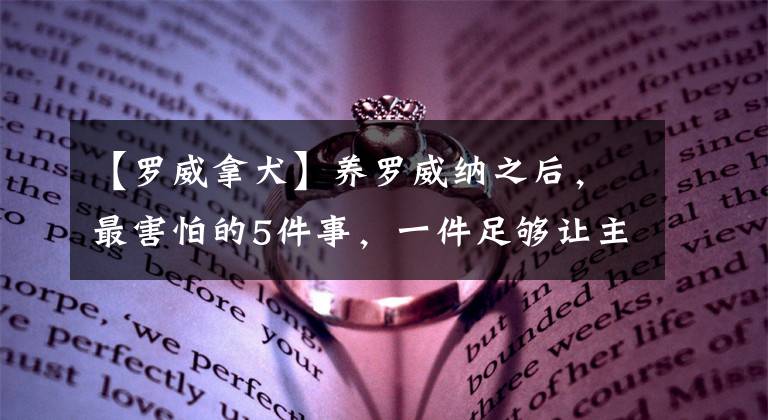 【羅威拿犬】養(yǎng)羅威納之后，最害怕的5件事，一件足夠讓主人哭好久