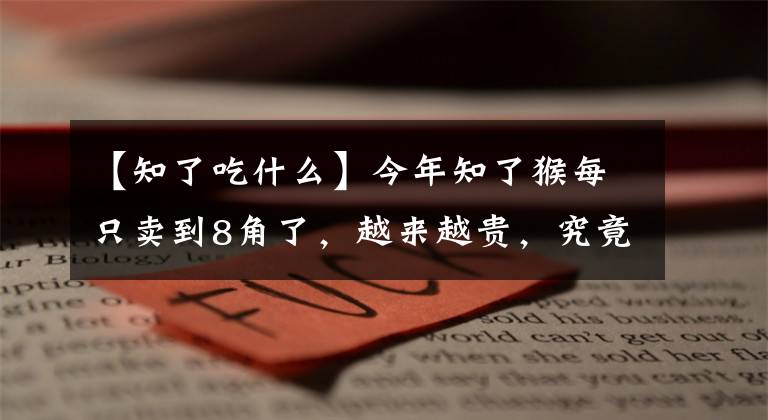 【知了吃什么】今年知了猴每只賣到8角了，越來越貴，究竟是怎么回事？