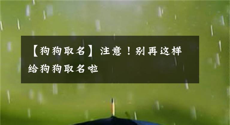 【狗狗取名】注意！別再這樣給狗狗取名啦