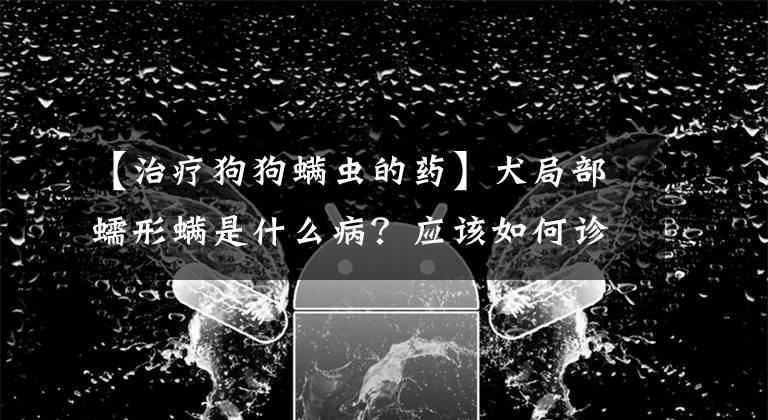 【治療狗狗螨蟲的藥】犬局部蠕形螨是什么病？應(yīng)該如何診斷治療？可以預(yù)防嗎？