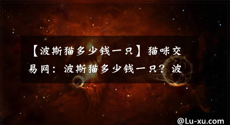 【波斯貓多少錢一只】貓咪交易網(wǎng)：波斯貓多少錢一只？波斯貓性格是怎樣的？