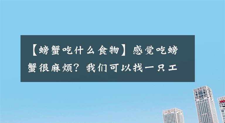 【螃蟹吃什么食物】感覺(jué)吃螃蟹很麻煩？我們可以找一只工具章魚(yú)