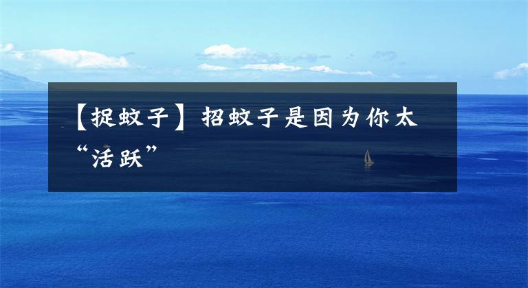 【捉蚊子】招蚊子是因?yàn)槟闾盎钴S”