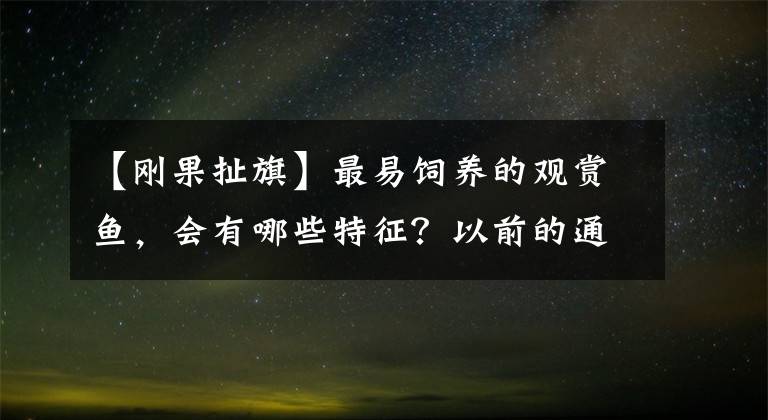 【剛果扯旗】最易飼養(yǎng)的觀賞魚，會有哪些特征？以前的通貨品種未必容易飼養(yǎng)