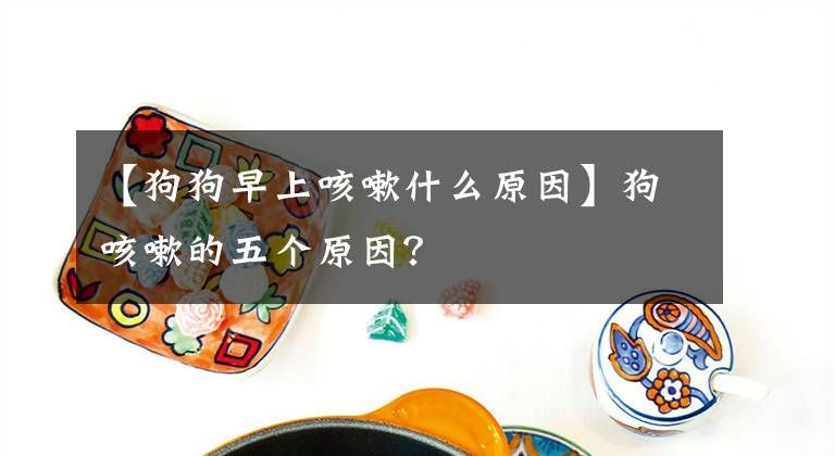 【狗狗早上咳嗽什么原因】狗咳嗽的五個原因？