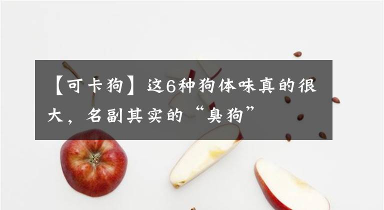 【可卡狗】這6種狗體味真的很大，名副其實的“臭狗”