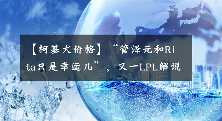 【柯基犬價格】“管澤元和Rita只是幸運兒”，又一LPL解說辭職，解說1場僅賺3500