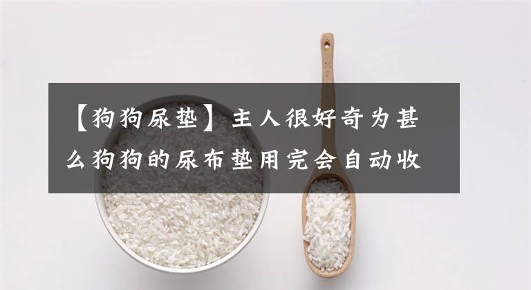 【狗狗尿墊】主人很好奇為甚么狗狗的尿布?jí)|用完會(huì)自動(dòng)收拾整齊，看完后超感動(dòng)