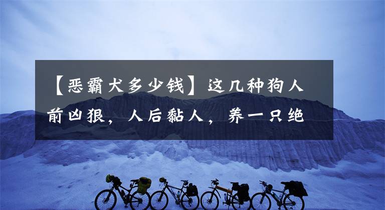 【惡霸犬多少錢(qián)】這幾種狗人前兇狠，人后黏人，養(yǎng)一只絕對(duì)不虧