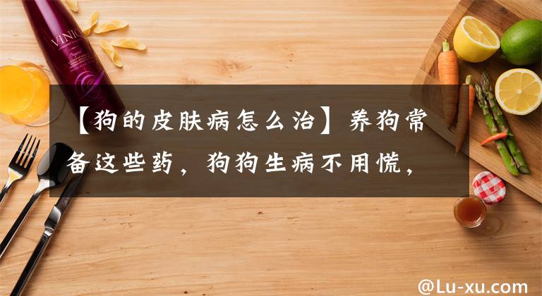 【狗的皮膚病怎么治】養(yǎng)狗常備這些藥，狗狗生病不用慌，省錢又省心