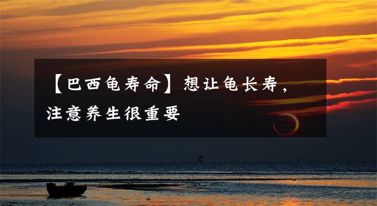 【巴西龜壽命】想讓龜長(zhǎng)壽，注意養(yǎng)生很重要