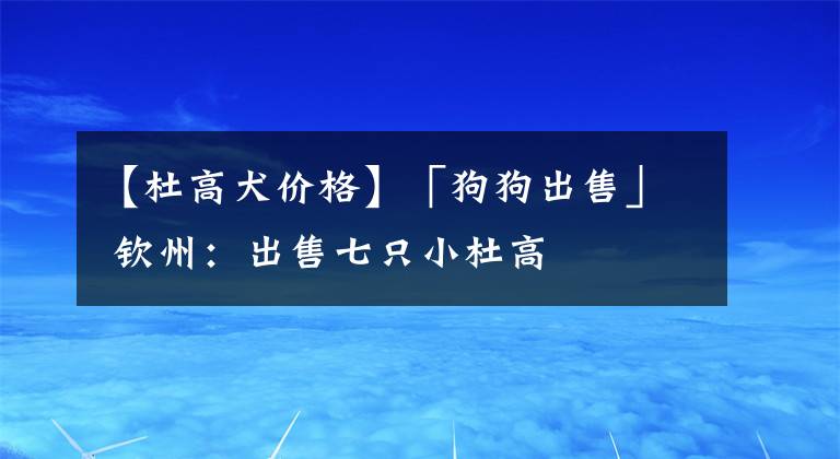 【杜高犬價(jià)格】「狗狗出售」 欽州：出售七只小杜高