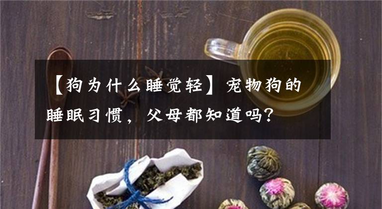 【狗為什么睡覺輕】寵物狗的睡眠習(xí)慣，父母都知道嗎？