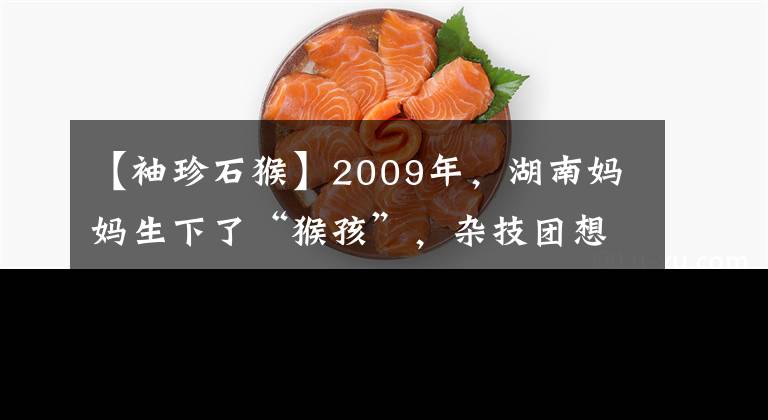 【袖珍石猴】2009年，湖南媽媽生下了“猴孩”，雜技團(tuán)想出錢(qián)購(gòu)買(mǎi)，后來(lái)怎樣？