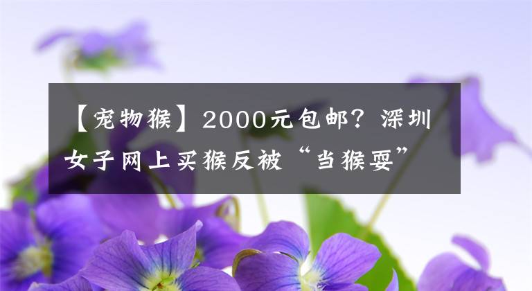 【寵物猴】2000元包郵？深圳女子網(wǎng)上買猴反被“當(dāng)猴?！?></a></div> <div   id=