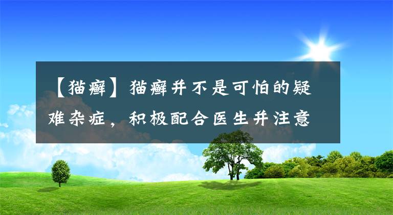 【貓癬】貓癬并不是可怕的疑難雜癥，積極配合醫(yī)生并注意這些事項(xiàng)就能治愈