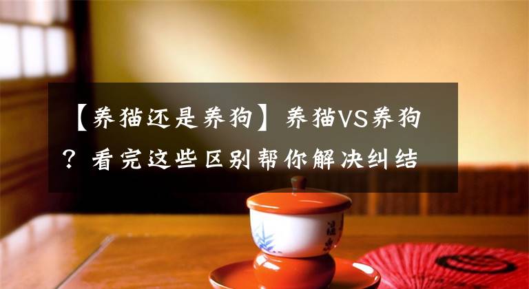 【養(yǎng)貓還是養(yǎng)狗】養(yǎng)貓VS養(yǎng)狗？看完這些區(qū)別幫你解決糾結(jié)