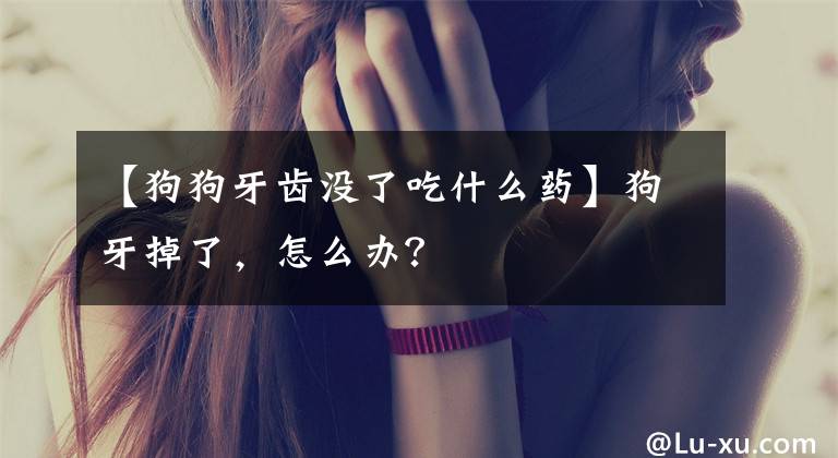 【狗狗牙齒沒了吃什么藥】狗牙掉了，怎么辦？