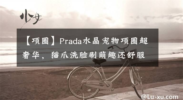 【項圈】Prada水晶寵物項圈超奢華，貓爪洗臉刷萌趣還舒服丨是日美好事物