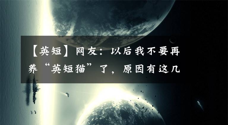 【英短】網(wǎng)友：以后我不要再養(yǎng)“英短貓”了，原因有這幾個(gè)