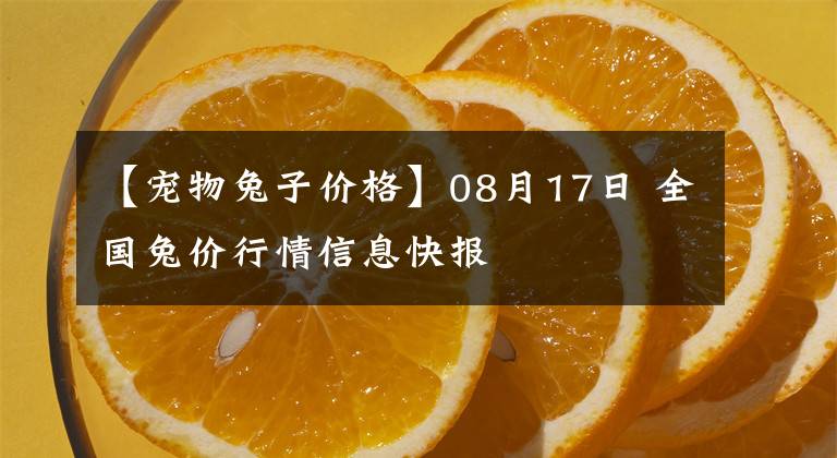 【寵物兔子價格】08月17日 全國兔價行情信息快報