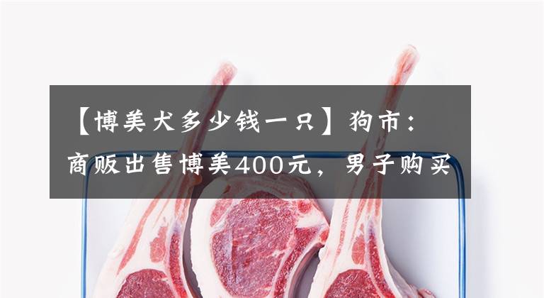 【博美犬多少錢一只】狗市：商販出售博美400元，男子購(gòu)買了博美犬送女友，350元成交！