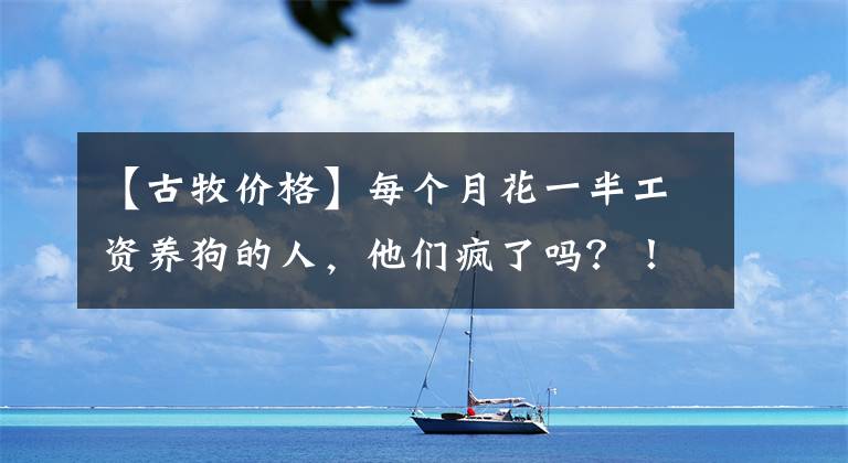 【古牧價格】每個月花一半工資養(yǎng)狗的人，他們瘋了嗎？！