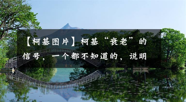 【柯基圖片】柯基“衰老”的信號，一個都不知道的，說明你根本不愛它