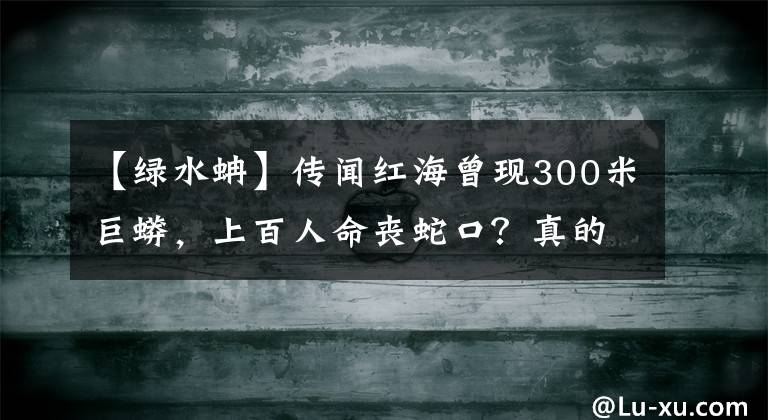 【綠水蚺】傳聞紅海曾現(xiàn)300米巨蟒，上百人命喪蛇口？真的有這么大的蛇嗎？