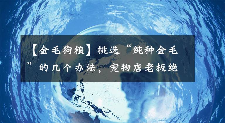 【金毛狗糧】挑選“純種金毛”的幾個(gè)辦法，寵物店老板絕不會告訴你