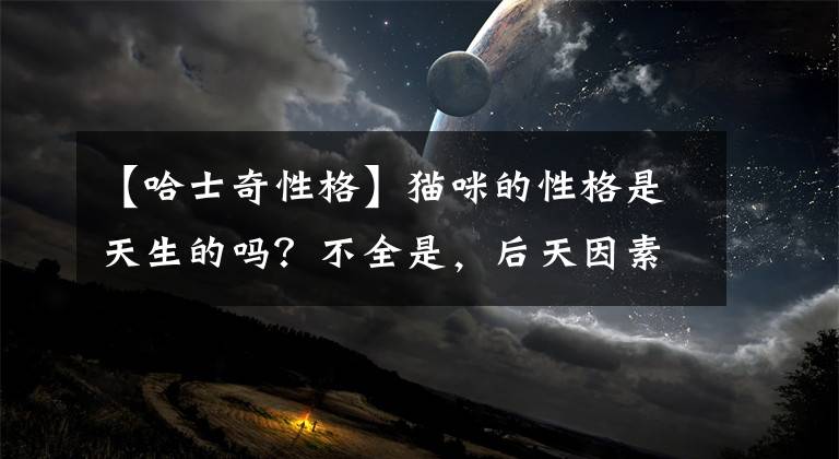 【哈士奇性格】貓咪的性格是天生的嗎？不全是，后天因素影響也很大