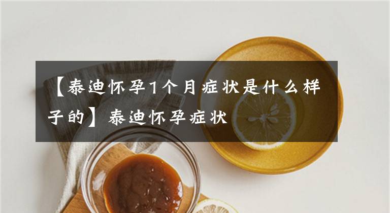 【泰迪懷孕1個(gè)月癥狀是什么樣子的】泰迪懷孕癥狀