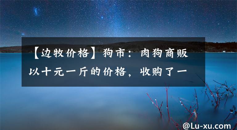 【邊牧價(jià)格】狗市：肉狗商販以十元一斤的價(jià)格，收購了一只狗市少見邊牧！