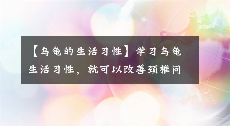 【烏龜?shù)纳盍?xí)性】學(xué)習(xí)烏龜生活習(xí)性，就可以改善頸椎問題？從古至今都有說法