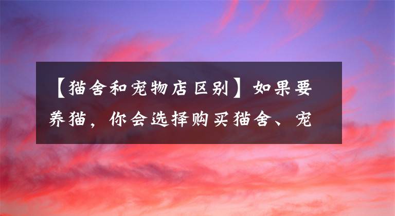 【貓舍和寵物店區(qū)別】如果要養(yǎng)貓，你會(huì)選擇購(gòu)買(mǎi)貓舍、寵物店、網(wǎng)購(gòu)還是領(lǐng)養(yǎng)呢？