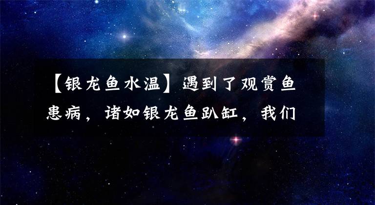 【銀龍魚水溫】遇到了觀賞魚患病，諸如銀龍魚趴缸，我們?nèi)绾稳シ治龊蛻?yīng)對？