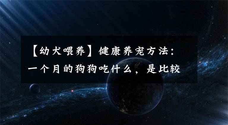 【幼犬喂養(yǎng)】健康養(yǎng)寵方法：一個(gè)月的狗狗吃什么，是比較合適和科學(xué)的？