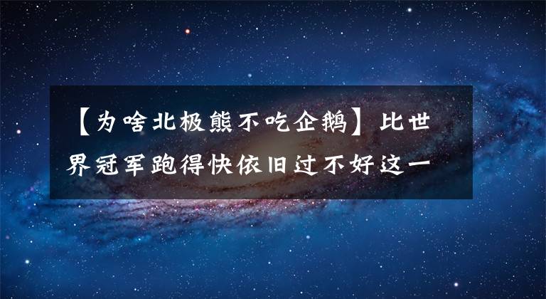 【為啥北極熊不吃企鵝】比世界冠軍跑得快依舊過不好這一生，11個(gè)北極熊的冷知識(shí)