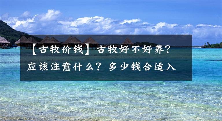 【古牧價錢】古牧好不好養(yǎng)？應(yīng)該注意什么？多少錢合適入手？