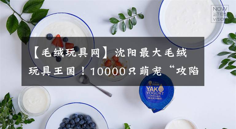 【毛絨玩具網(wǎng)】沈陽最大毛絨玩具王國！10000只萌寵“攻陷”沈陽！沖吧！寶寶