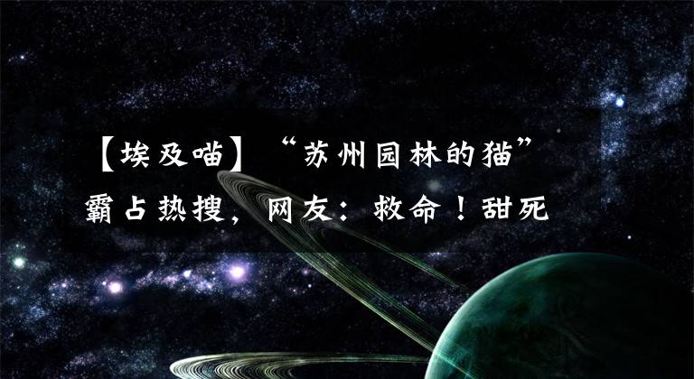 【埃及喵】“蘇州園林的貓”霸占熱搜，網(wǎng)友：救命！甜死了