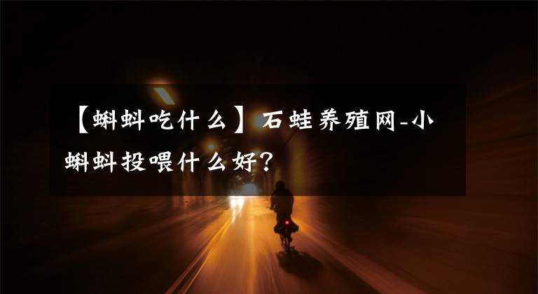 【蝌蚪吃什么】石蛙養(yǎng)殖網(wǎng)-小蝌蚪投喂什么好？